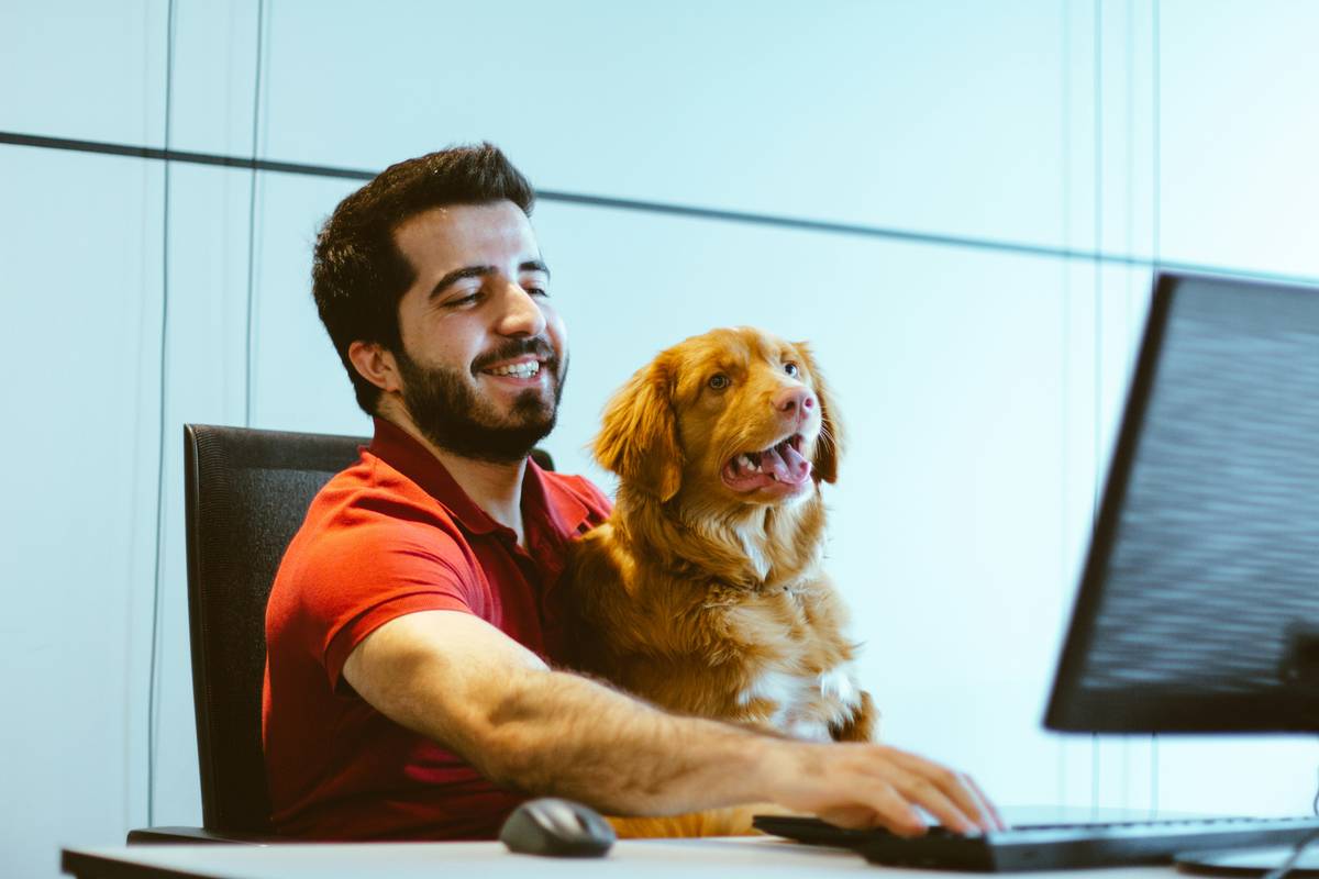 Instructor conducting dog training analysis during group class using tablet to record behavioral notes