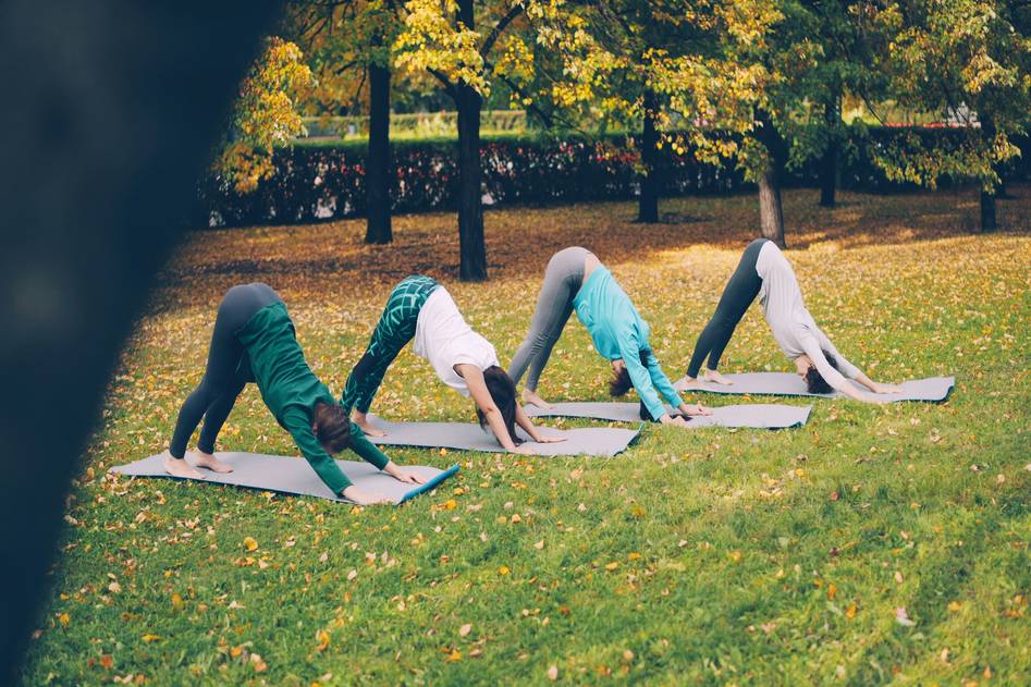 Trainers guiding diverse dogs in an outdoor group class